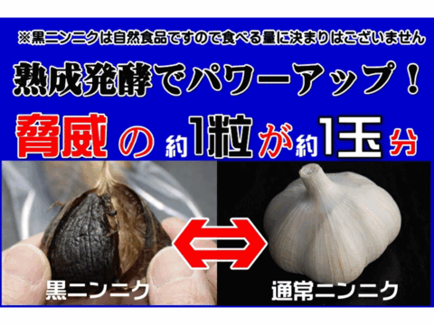 旨みを最大限に引き上げた「津軽黒にんにく」 訳あり 2kg 500g×4 青森県産にんにくを熟成発酵！