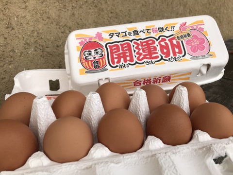 【開運卵パッケージ】 陶芸の里、益子でうまれた赤たまご 30個