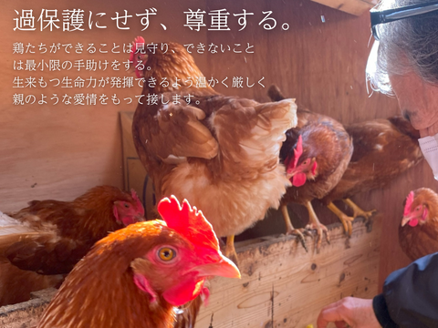 【平飼い 有精卵】自然養鶏「子持生命卵 kinari」10個入パック×２