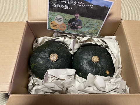 ホクホクがたまらない♪三右エ門栗かぼちゃ 3kg(中２玉)　【化学肥料不使用】