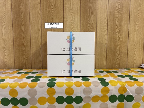 【規格外】山梨県産シャインマスカット　粒売り2kg以上(1kg×2箱)