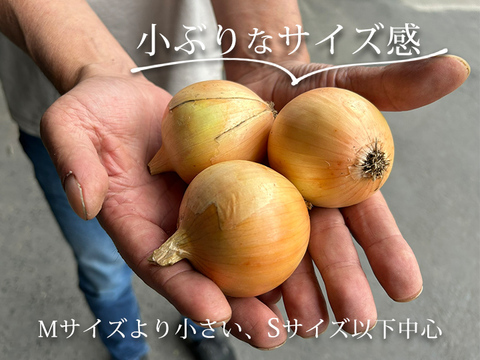 【訳あり！小玉10kg】淡路島たまねぎ 兵庫認証食品 ひょうご安心ブランド 特別栽培 あさひサンファーム ご家庭用 南あわじ市 淡路島産たまねぎ 小さいサイズ S玉 レシピ付き！