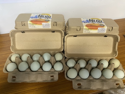 【限定BOX】5種類の純国産鶏の卵を食べくらべ　5色50個【富士の極卵】