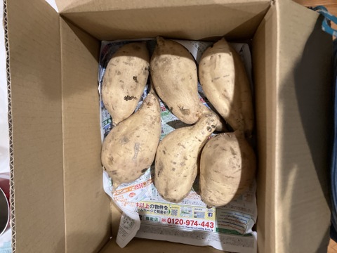 白いさつまいも！希少新品種きみまろこ2㎏(大きめサイズ)