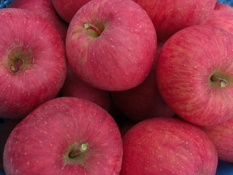 りんごの王様　『サンふじ』　特秀
（3キロ　化粧詰め）