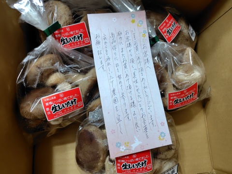 菌床生しいたけ！小さくても美味しい１㎏