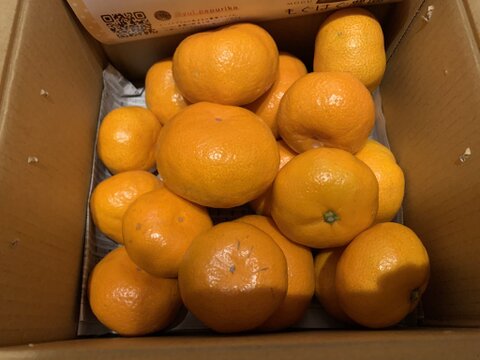 "完熟貯蔵”ずっしり濃いコク！青島みかん🍊箱込み2ｋｇ　本州の方限定