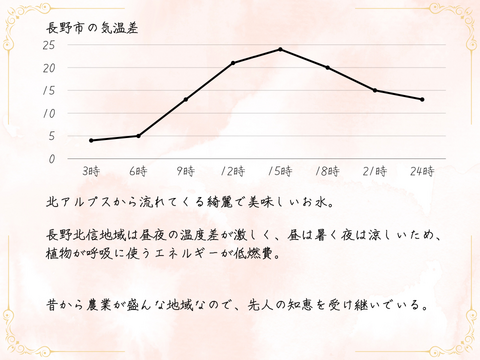 ワッサー４～６玉 ギフトボックス【2025年先行予約】【信州長野県産】7月下旬発送開始