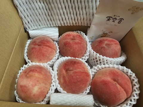 【7月下旬】かたい桃「なつっこ」約2kg・6～8玉１箱山梨県南アルプス上宮地産