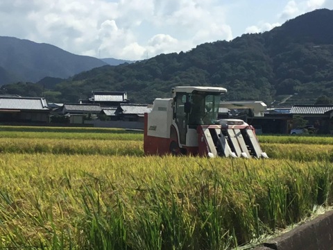 2025年産🌾 香川県産あきさかり玄米10kg新米！味自慢　予約開始！🏃‍♀️🏃‍♂️瀬戸内のお米　お子様や若い方にも大人気♬試してみて〜この甘みと香り（北海道、沖縄への発送除く）