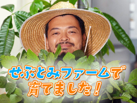 風味豊かな枝豆！宮崎県産『湯あがり娘1kg』200g×5袋