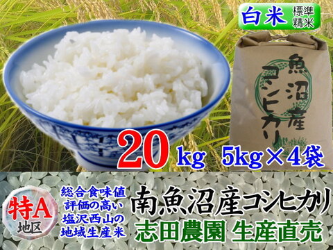 米/穀物千葉県産コシヒカリ白米20㎏
