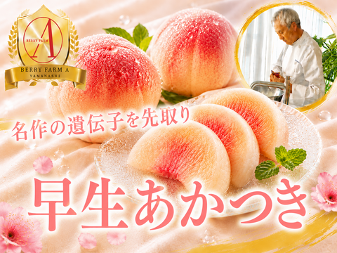 【名作の遺伝子を先取り】濃厚な甘みと歯ごたえを先取り『早生あかつき』品種指定キャンペーン🍑お試し約1.5kg【朝どれ】高級もも☆家庭用・贈り物にも贅沢お中元ギフト【7月上旬予約】