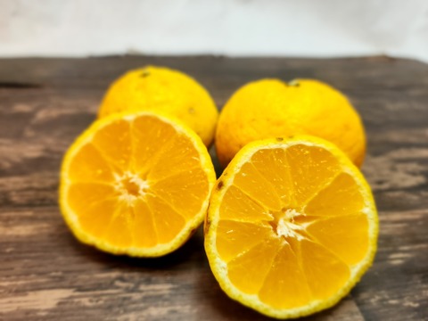 箱込約1㌔　媛小春　リピート率高い　黄色いけど酸味のない春を告げる味