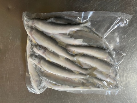 天ぷらが最高！【小鮎】史上最小15gサイズ（冷凍）2パック