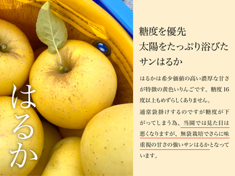 極上の甘さ【はるか】家庭用✨りんご農家が感動！希少品種♡