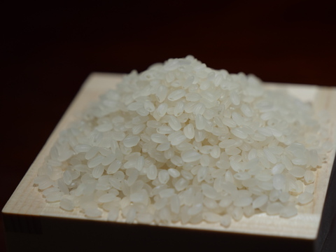 【R7年新米】第27回米・食味分析鑑定国際コンクール金賞/精米2kg南魚沼産ぴかまる/まつえんどんのお米