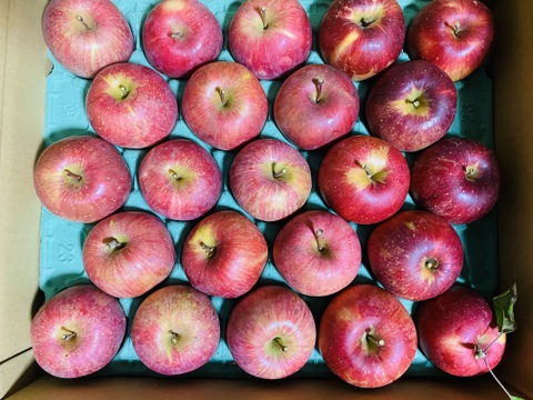 【数量限定・早い者勝ち】採りたての長野県人気ブランド食べ比べ！シナノスイート・サンふじの2種類【ご家庭用（約5㎏：23～30個入り）】