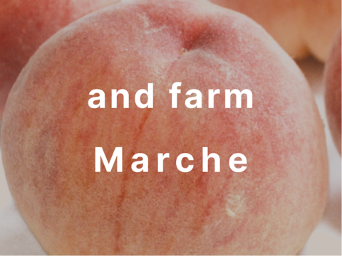 【８月上旬発送】桃好き必見！桃のリレーが楽しめる！季節の【桃】おうち用（もも）お試しセット 約2kg 約5~6玉