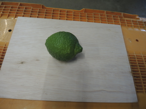 【和歌山産】ライム２キログラム ★殺菌剤不使用で皮までOK★果汁たっぷり！新鮮なメキシカンライム