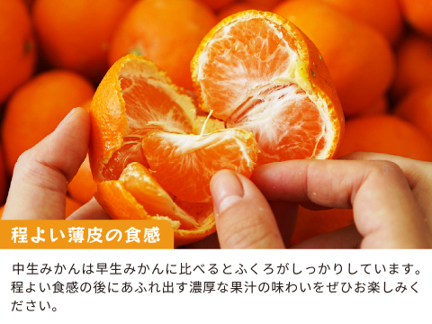 蔵出しみかん中生5kg｜和歌山県海南市下津町の特産品、蔵出しみかんの希少な中生品種