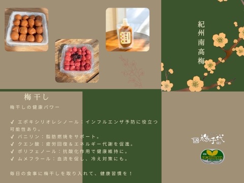 【和歌山県特別栽培】 ねりうめ　紀州 南高梅 農家 直送