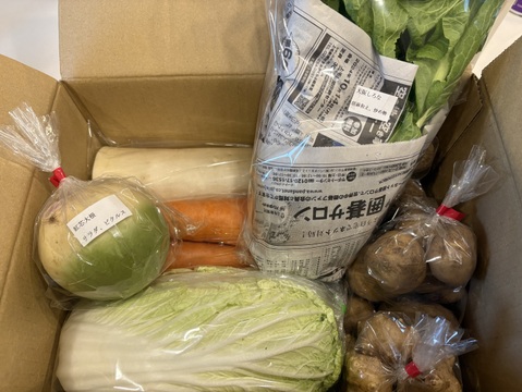 ♪人気商品♪『農薬、化学肥料不使用』【2~3人前】
季節の野菜Sセット（8-9品）「群馬県高崎産」