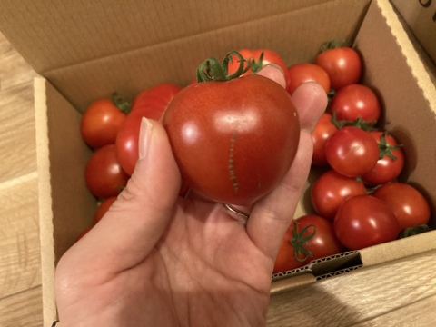 訳あり中玉トマト（箱の重さ込み2kg）