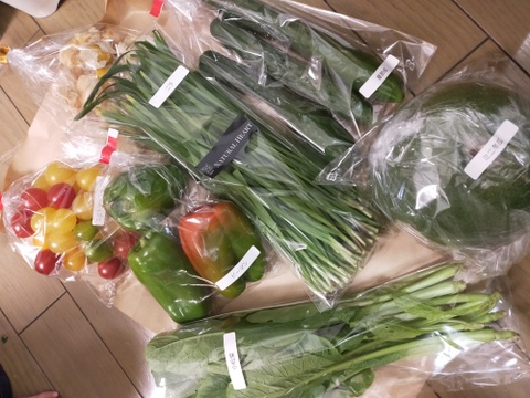 希少な自然栽培の野菜ボックス【Ｍサイズ】