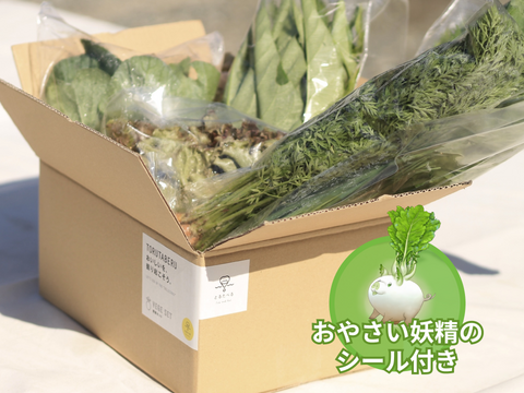【食育やさいBOX】(冬の有機野菜Sセット)にんじん、水菜、小カブなど【5〜7品目】