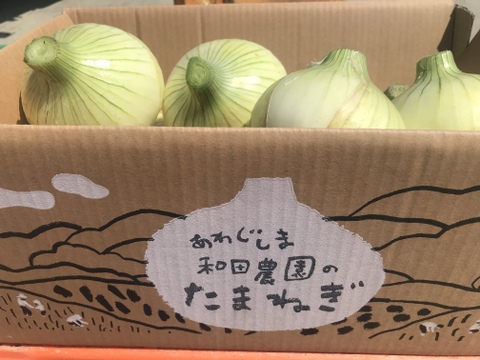予約販売開始!【淡路島 和田農園】☆数量限定☆新玉ねぎ 10kgM〜LLサイズ