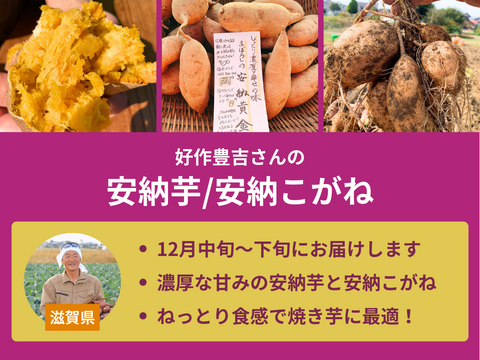 【販売終了】【数量限定】さつまいも食べ比べ便（食べチョク公式）