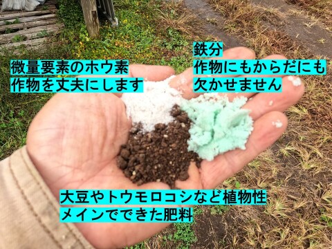 ニシユタカ＆紅はるか　2025年産　訳あり　たっぷり6ｋｇずつの12ｋｇ入り！　貯蔵して超絶美味しい！　有機JAS　いもいもセット　そのやま農園