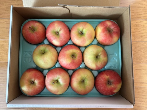 完売御礼【特別栽培りんご】蜜入り🍎こうとく2kg 葉とらずりんご 農薬50%減＋化学肥料不使用 希少品種　キズなし良品　ギフト