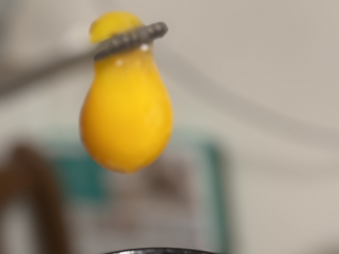 トウモロコシ不使用・こだわりの発酵飼料を食べた『あずさ』の平飼い卵6個入りパック×2個（12個）