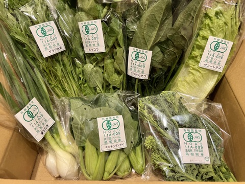 採れたて！旬の有機野菜の詰め合わせ（お試し6種）