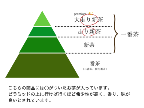 数量限定【母の日ギフト】最上級ランク”大走り”新茶80g×1缶、走り新茶80g×1缶  静岡県牧之原産　缶入り