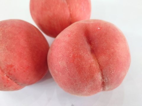 小さめだからたっぷりと！「なつおとめ」 約3kg【クール便】