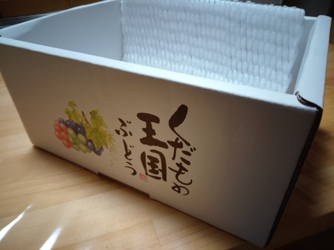 棚田で育てた🍇岡山県産シャインマスカット（ご家庭用・１ｋｇ）