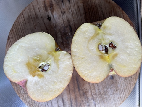 蜜入り？！1日1個☆小玉サンふじ☆箱込み10キロ以内