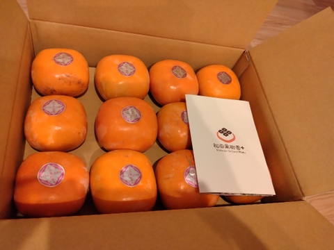 【ご予約】家庭用 糖度に自信！刀根早生柿誕生の地より直送 たねなし柿  SDG.s 2L～L　12玉入りです。たくさんの方に味わっていただきたくて企画しました。