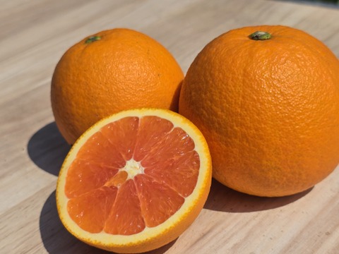 箱込約2㌔　ピンクネーブル　激レア