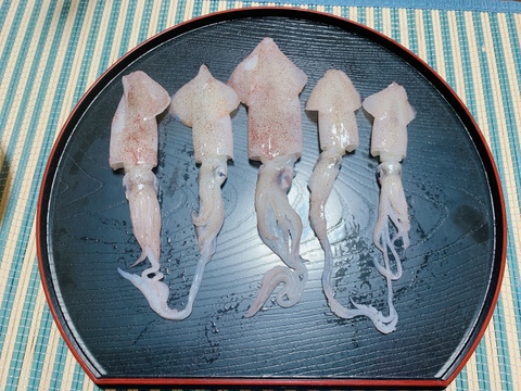 【漁師直送】ジャコエビ (小海老) ヒイカ(サイズ色々)《1kg=250g×2+250×2の4パック》小分けパック