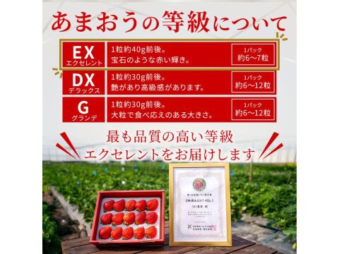 【お歳暮やギフトに】特選あまおう 800g【冬ギフト】
