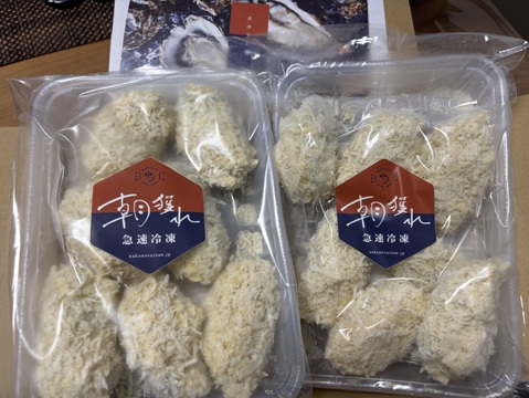 JAPAN FOOD SELECTION2024グランプリ賞受賞！【即納】【本物嗜好の方向け】朝獲れ美浄生牡蠣でカキフライ急速冷凍しちゃいました昔からの中野水産の味お届けします。【夏ギフト】