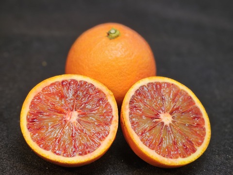箱込約2㌔　熟成ブラッドオレンジ　味と紅が濃い