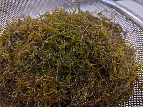 【謹製】海鮮キムチ/ふのり/海藻/コリコリ/150g/ピリ辛酢物【冷凍】