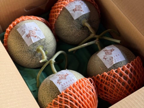 【訳あり】北海道夕張産［ツナガルメロン］（4～6玉 ）｜みんなで味わう、5つの物語の詰め合わせセット