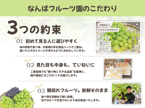 【9周年感謝祭】岡山の旬を詰め込んだ！ぶどう4種と梨・日本イチジクの豪華6種BOX