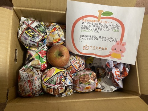 シャキッとジューシー☆葉取らずふじりんご🍎！小玉中心です。5キロ箱バラ詰め家庭用